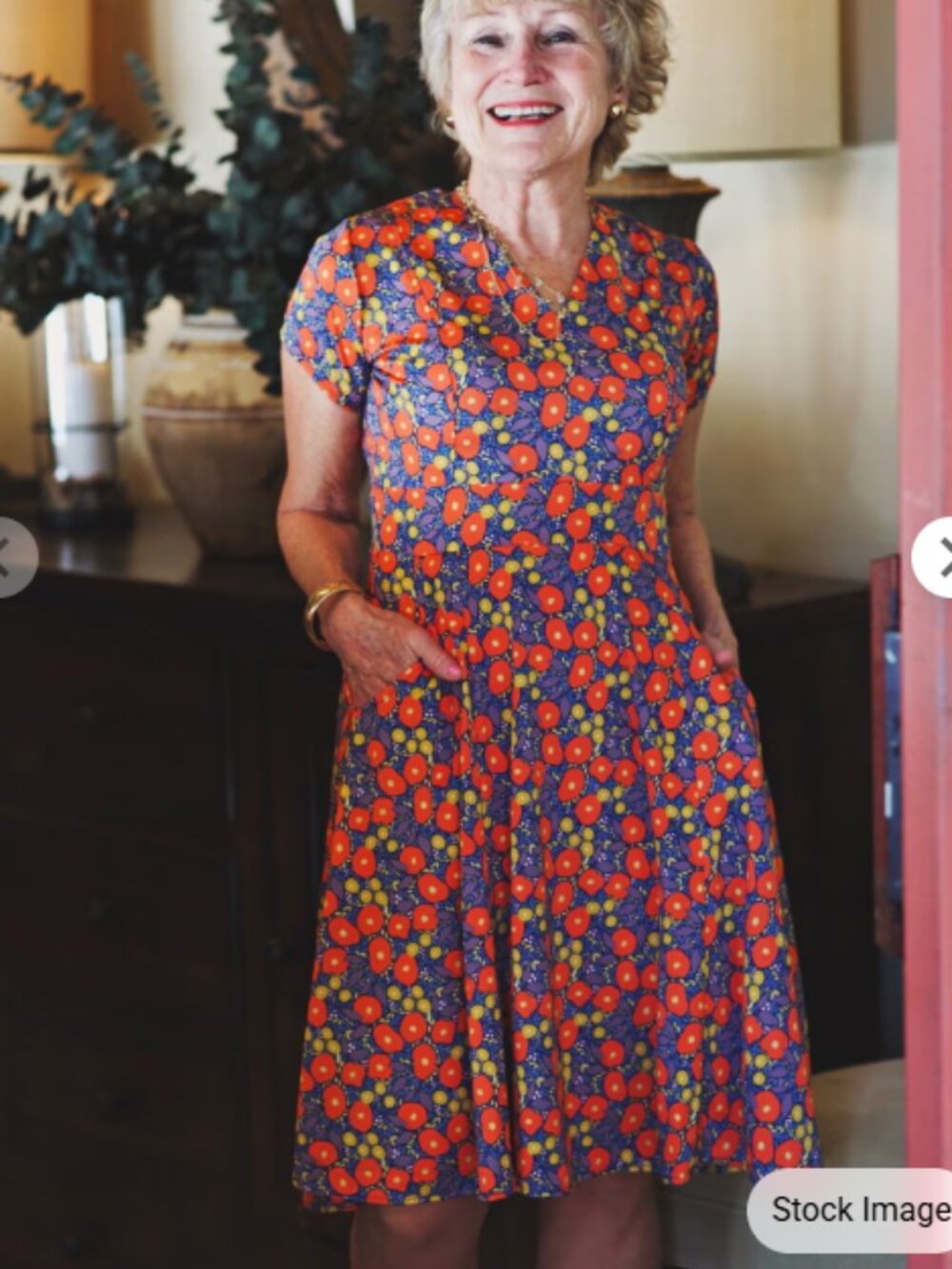 NWT Karina Dresses Cece "Garden Path" Pocket A-Line Dress XS